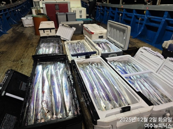 12월2일갈치 (60).jpg