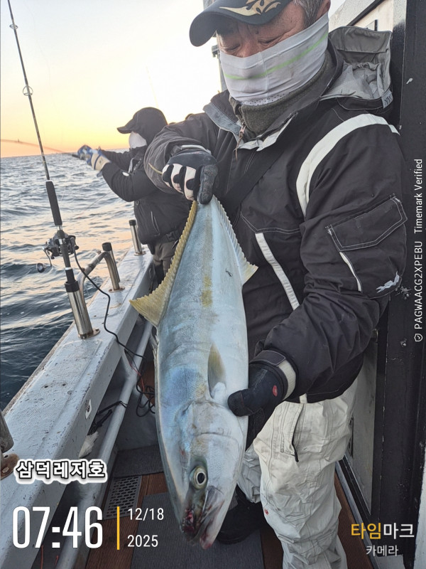 2025-12-18 07.46.35_.jpg