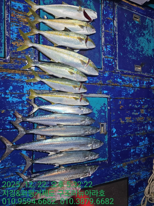 거제도 구조라  뉴아라호 (지깅, 파핑,한치,갈치,타이바라 전문)_사진_20251223_1.jpg