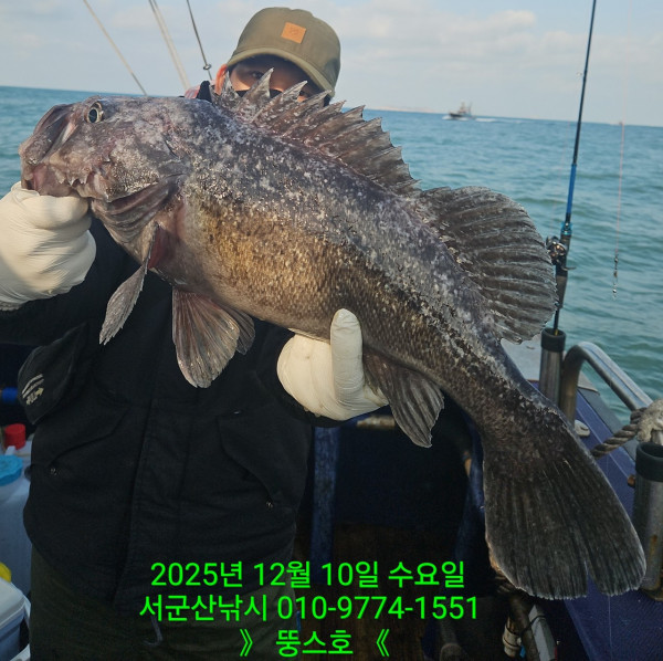 군산 선상낚시, 바다낚시 출조 전문 ☆서군산낚시☆_사진_20251210_1.jpg