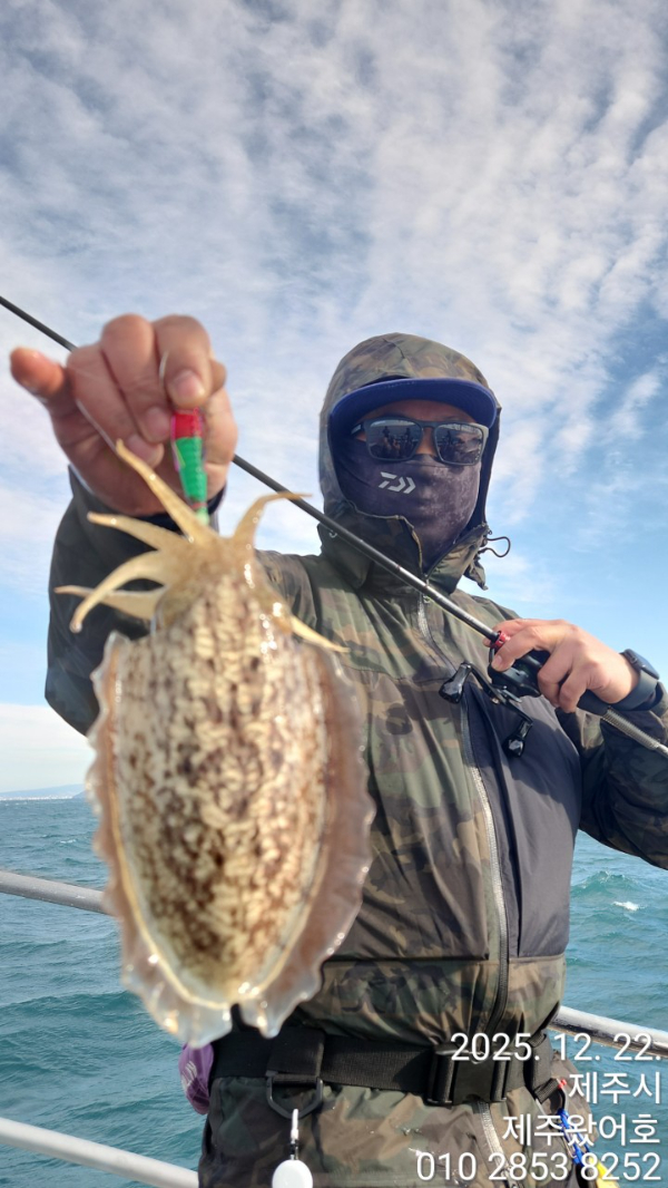 제주왔어호_사진_20251222_22.jpg