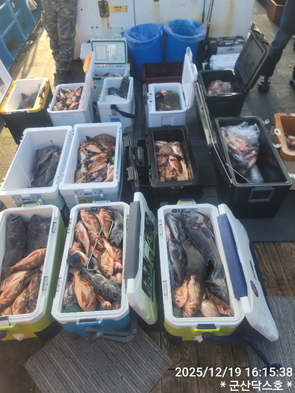 군산 선상낚시, 바다낚시 출조 전문 ☆서군산낚시☆_사진_20251219_1.jpg