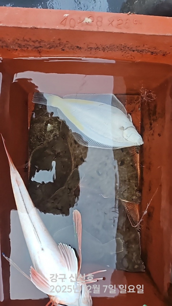 신신낚시 강구점 신신호_사진_20251207_4.jpg
