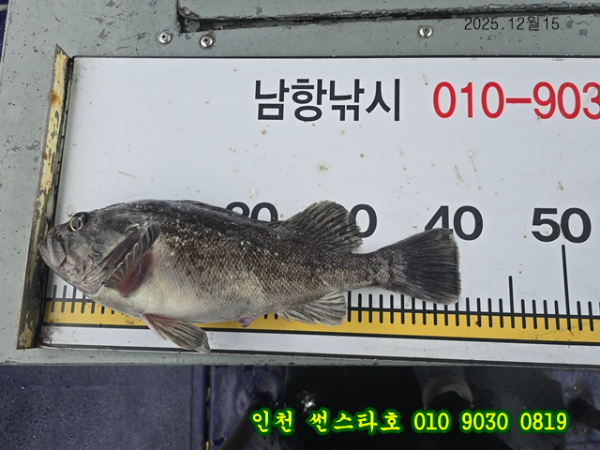 12월15 썬 (16).jpg