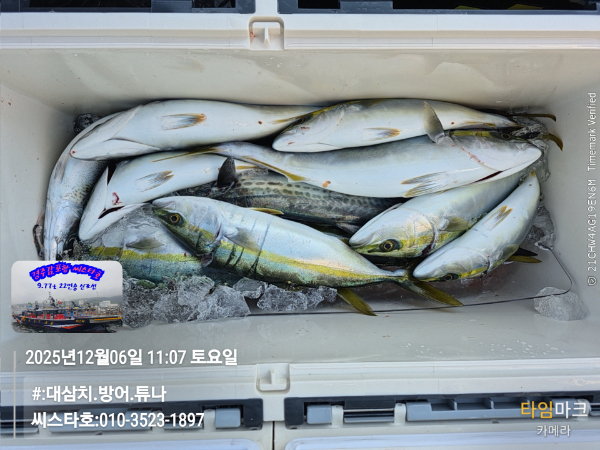 2025-12-06 11.07.29__(#-대삼치.방어.튜나)_(씨스타호-010-3523-1897).jpg