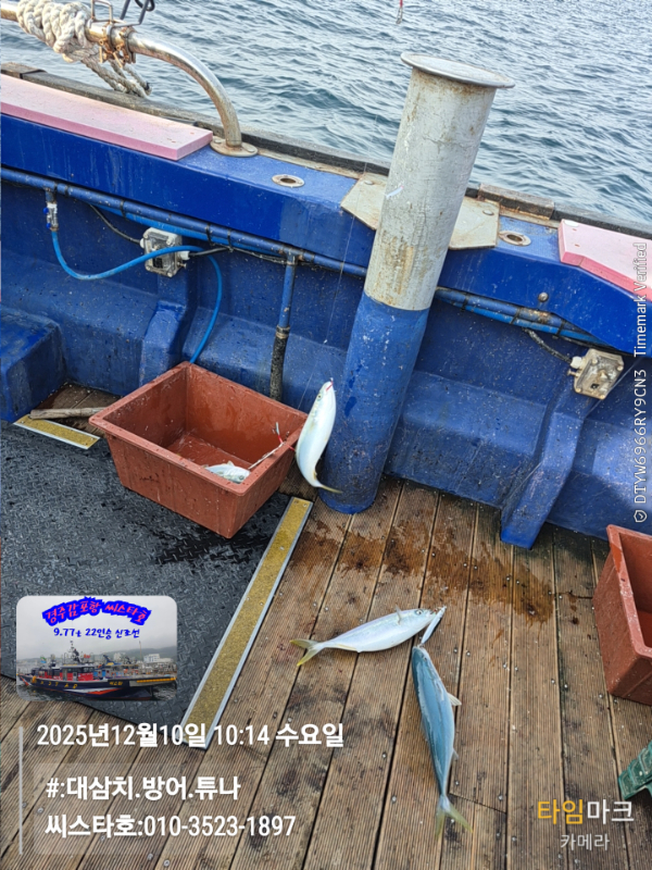 2025-12-10 10.14.44__(#-대삼치.방어.튜나)_(씨스타호-010-3523-1897).jpg