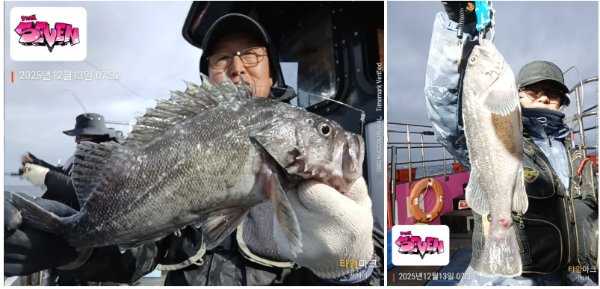 스크린샷 2025-12-14 125042.png