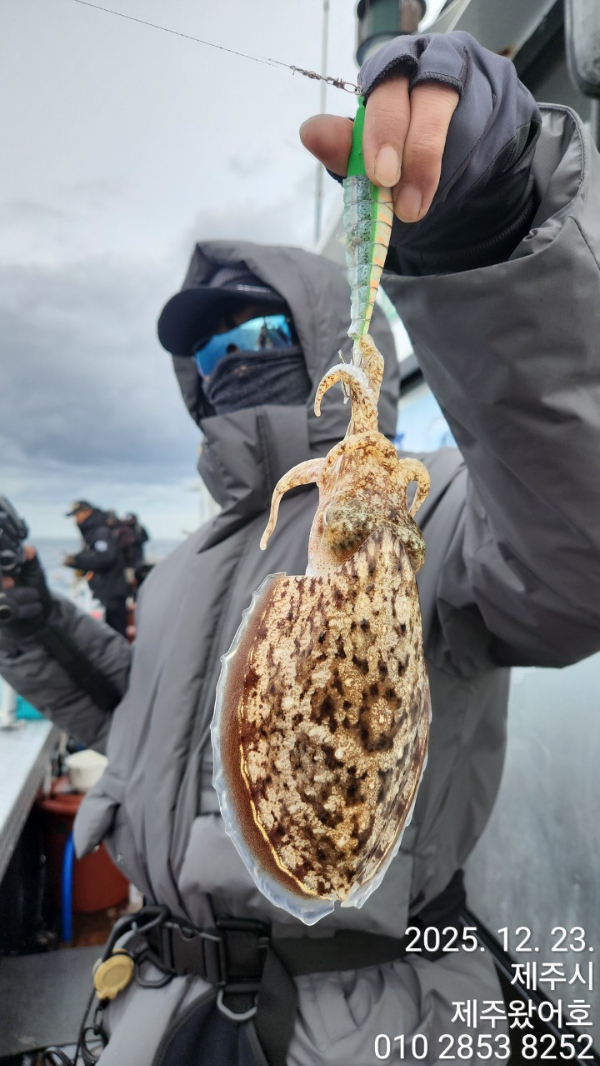 제주왔어호_사진_20251223_5.jpg