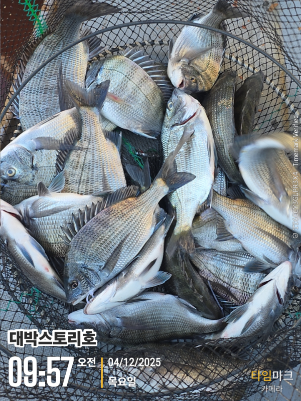 2025-12-04 09.57.18__(대박스토리호).jpg