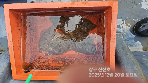 신신낚시 강구점 신신호_사진_20251220_2.jpg