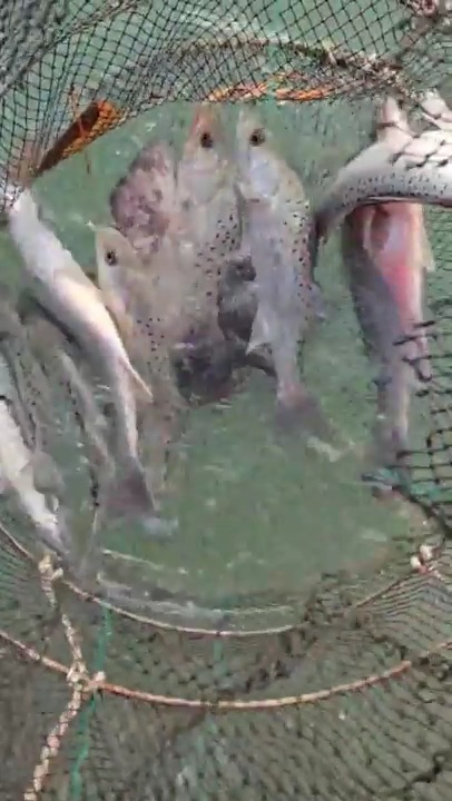 2025_12_07 17_07(1).jpg