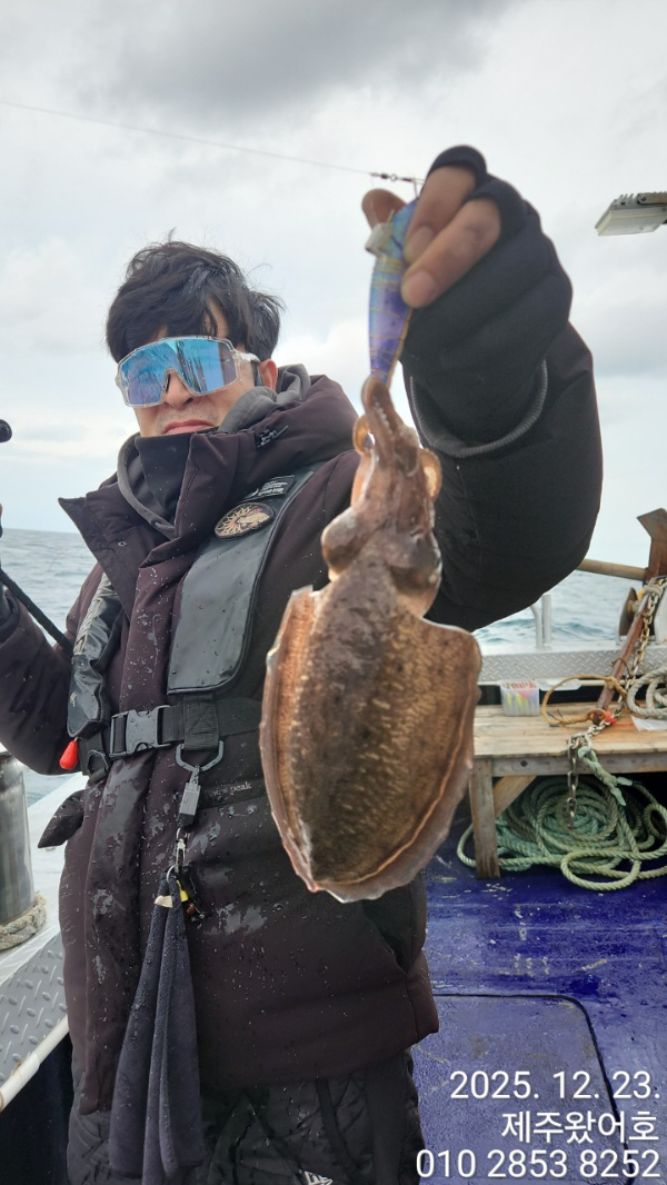 제주왔어호_사진_20251223_3.jpg