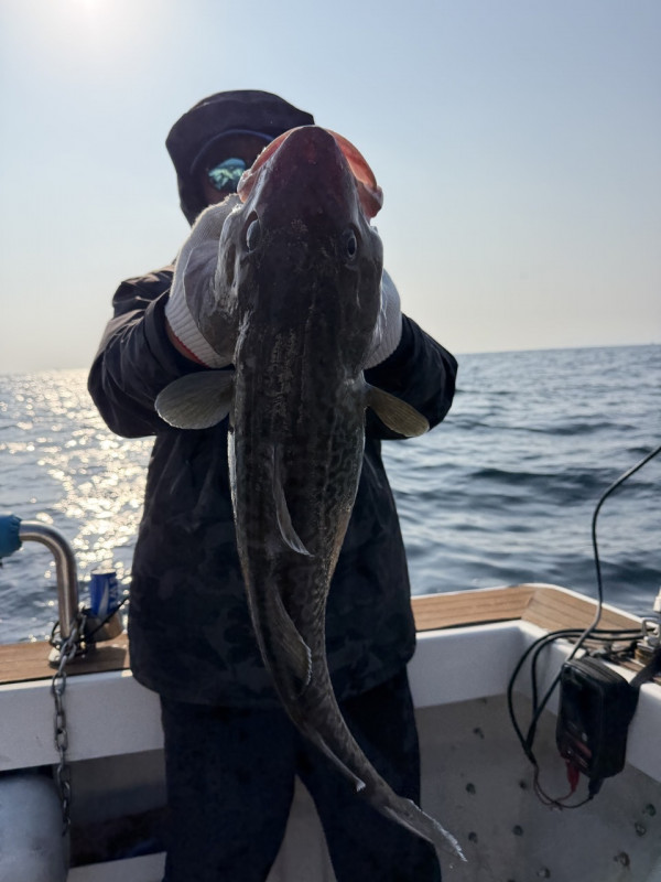 #에이스호#울진 #왕돌초 #빅게임 #왕대구 #대왕문어 #무늬오징어 #대광어 #볼락_사진_20251207_11.jpg