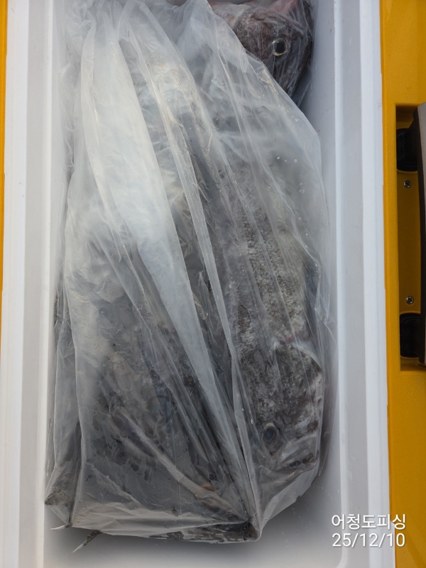 최강피싱 063.463.0800_사진_20251211_44 - 복사본.jpg