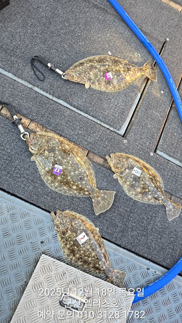 KakaoTalk_20251219_012255204_02 (1).jpg