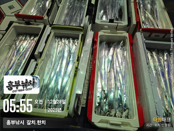 2025-12-28 05.55.29__(-흥부낚시  갈치.한치).jpg