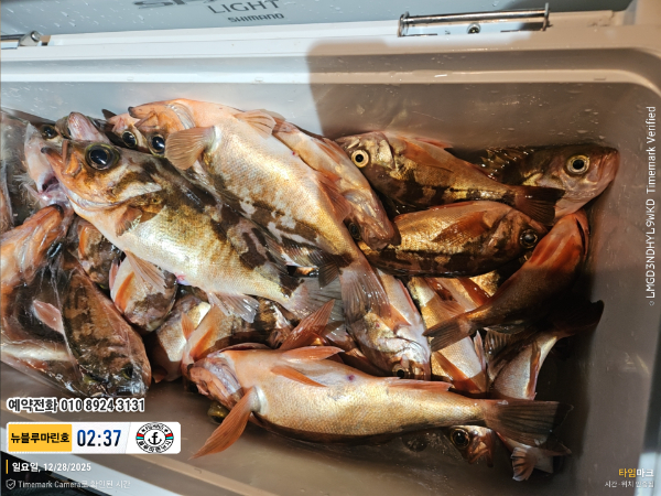 2025-12-28 02.37.57_대한민국_(제목-뉴블루마린호)_(예약전화 010 8924 3131).jpg