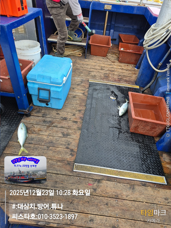 2025-12-23 10.28.57__(#-대삼치.방어.튜나)_(씨스타호-010-3523-1897).jpg