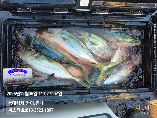 2025-12-06 11.07.18__(#-대삼치.방어.튜나)_(씨스타호-010-3523-1897).jpg