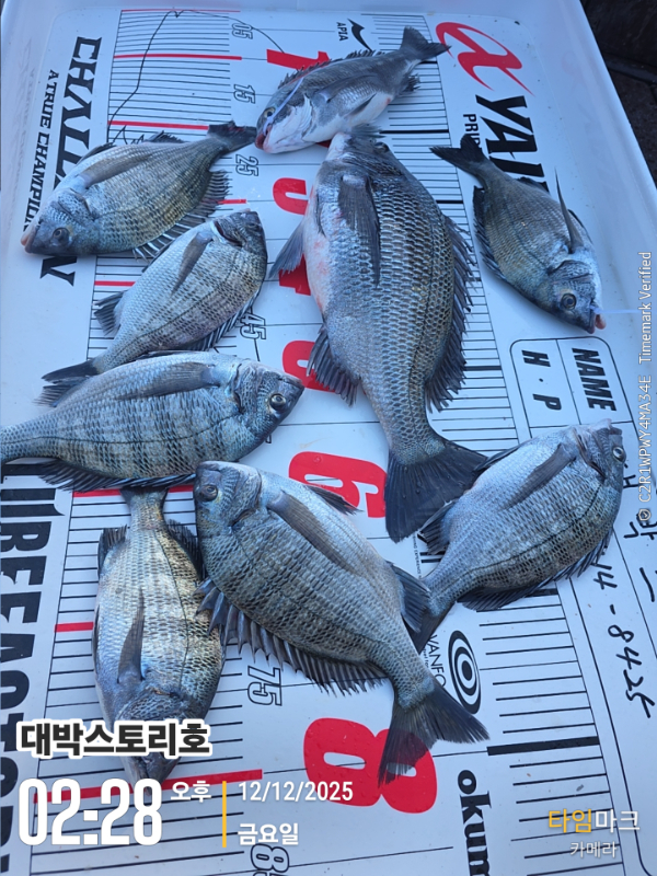 2025-12-12 02.28.58__(대박스토리호).jpg