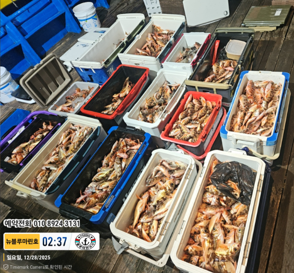 2025-12-28 02.37.21_대한민국_(제목-뉴블루마린호)_(예약전화 010 8924 3131).jpg