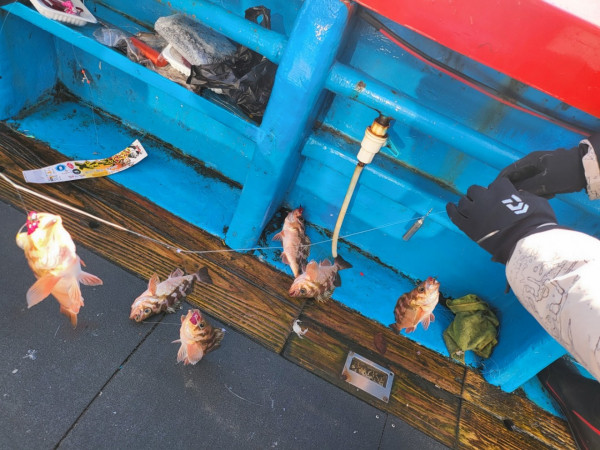 군산 선상낚시, 바다낚시 출조 전문 ☆서군산낚시☆_사진_20251228_12.jpg