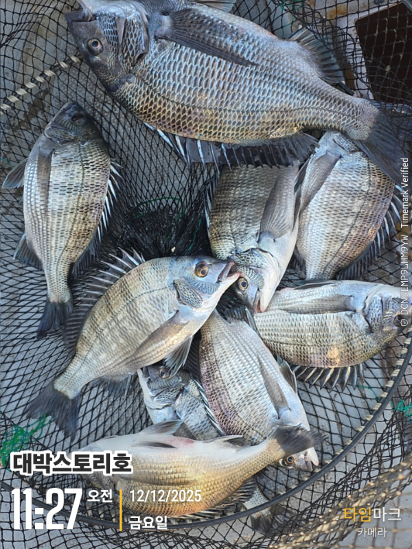 2025-12-12 11.27.44__(대박스토리호).jpg