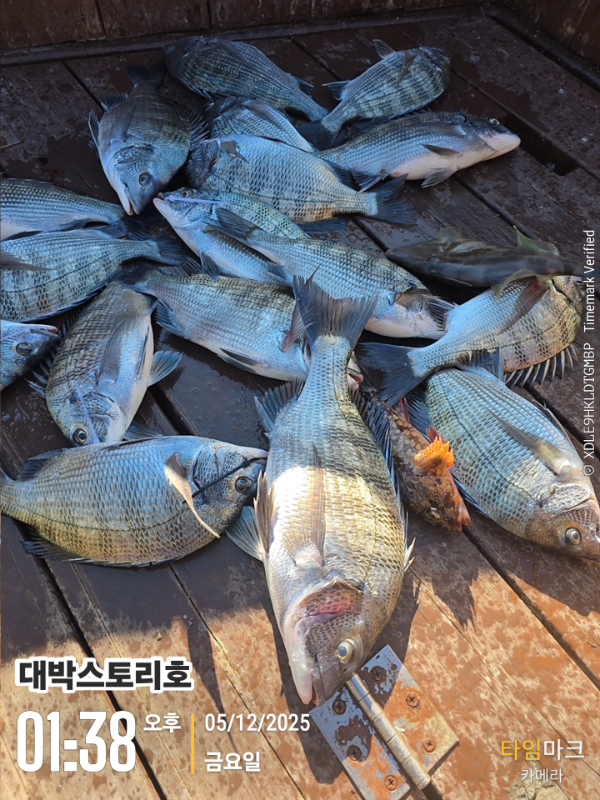 2025-12-05 01.38.07__(대박스토리호).jpg