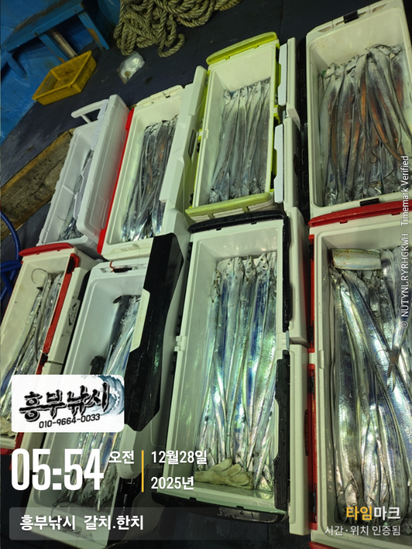 2025-12-28 05.54.05__(-흥부낚시  갈치.한치).jpg