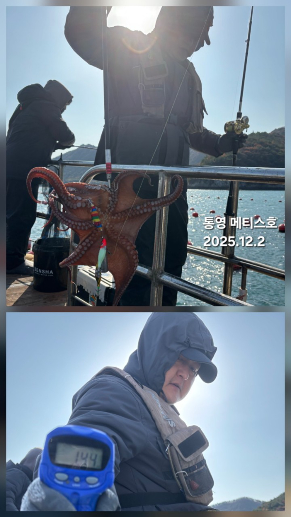 통영 메티스호_사진_20251203_4.jpg