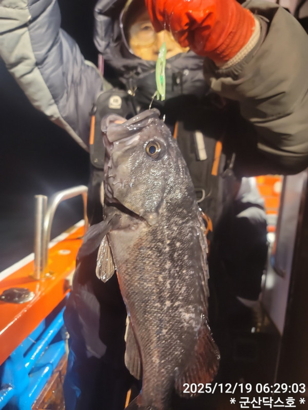 군산 선상낚시, 바다낚시 출조 전문 ☆서군산낚시☆_사진_20251219_13.jpg