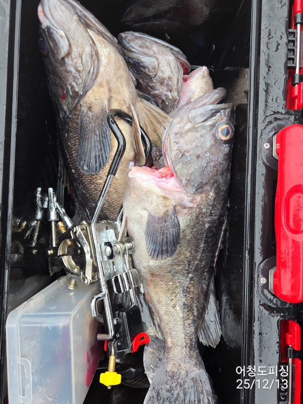 최강피싱 063.463.0800_사진_20251213_53.jpg