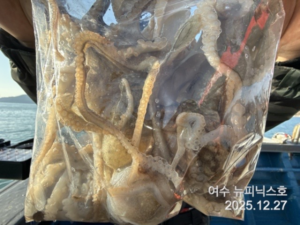 12월27일쭈꾸미 (7).jpg