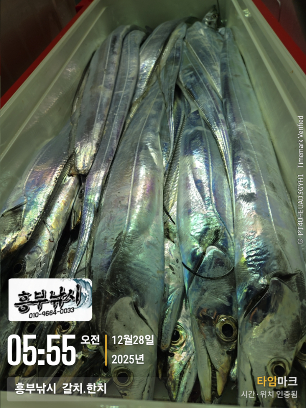 2025-12-28 05.55.15__(-흥부낚시  갈치.한치).jpg
