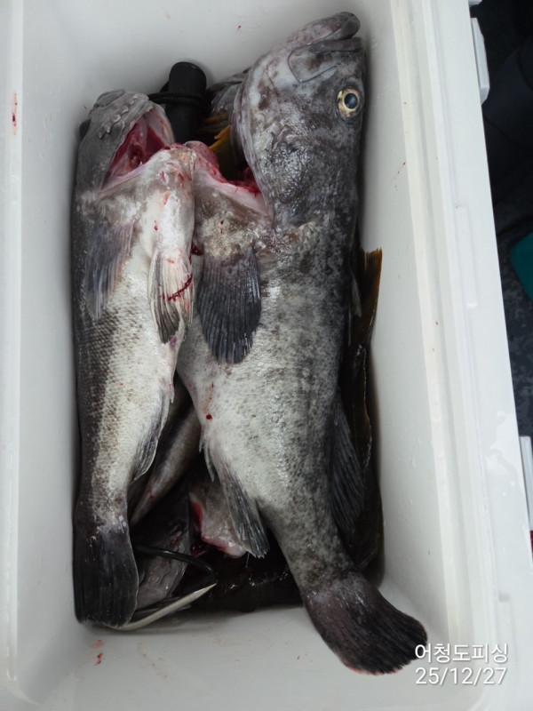 최강피싱 063.463.0800_사진_20251227_28.jpg