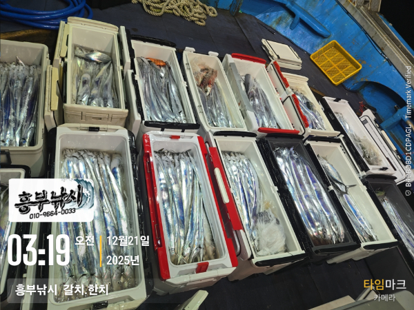 2025-12-21 03.19.51__(-흥부낚시  갈치.한치).jpg