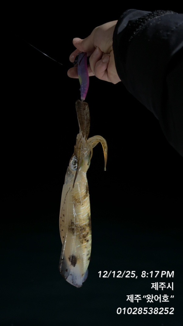 제주왔어호_사진_20251214_10.jpg