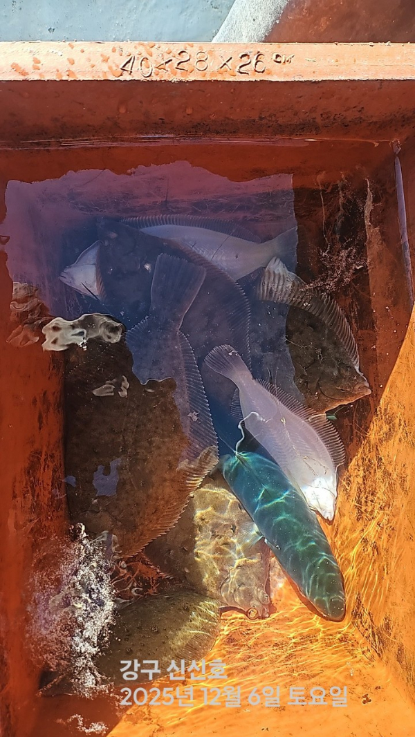 신신낚시 강구점 신신호_사진_20251206_7.jpg