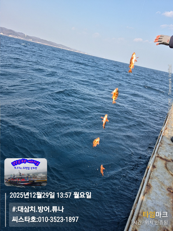 2025-12-29 13.57.39__(#-대삼치.방어.튜나)_(씨스타호-010-3523-1897).jpg