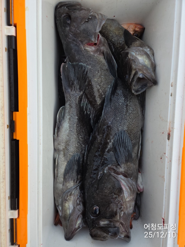 최강피싱 063.463.0800_사진_20251211_39.jpg