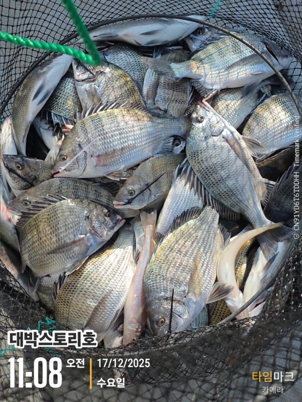 2025-12-17 11.08.31__(대박스토리호).jpg