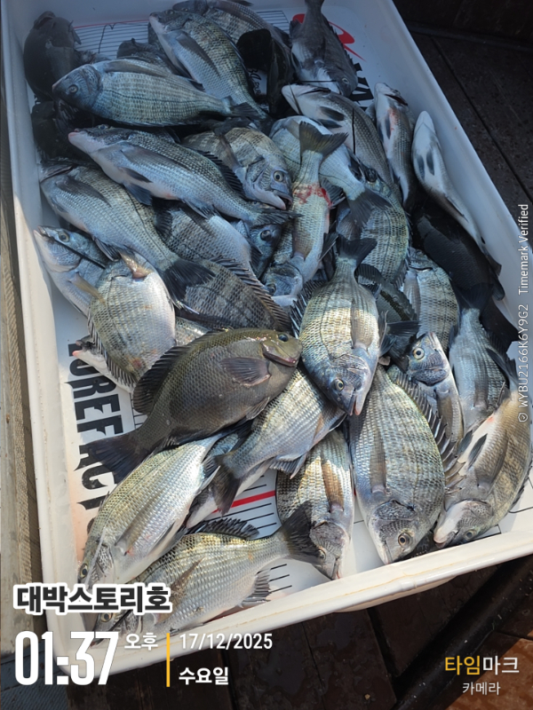 2025-12-17 01.37.20__(대박스토리호).jpg