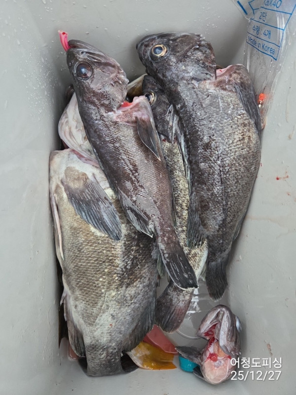 최강피싱 063.463.0800_사진_20251227_32.jpg