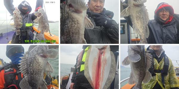 12월13 썬 (1)-tile.jpg