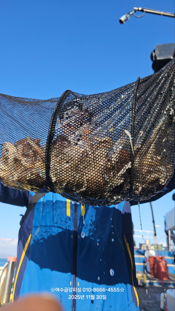 여수금강피싱_사진_20251204_9.jpg
