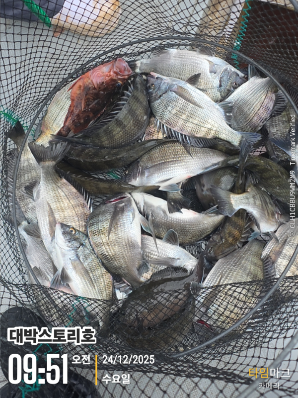 2025-12-24 09.51.44__(대박스토리호).jpg