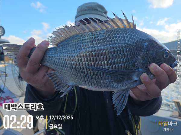 2025-12-12 02.29.30__(대박스토리호).jpg