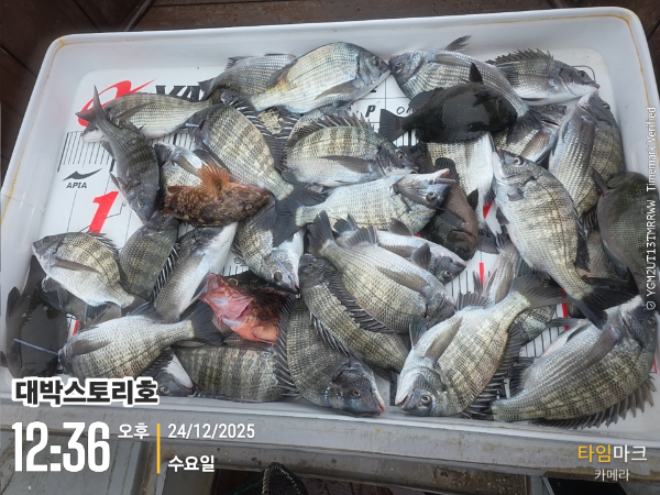 2025-12-24 12.36.25__(대박스토리호).jpg