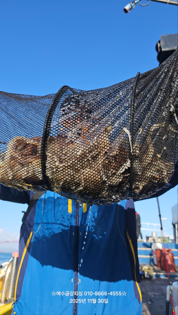 여수금강피싱_사진_20251204_4.jpg