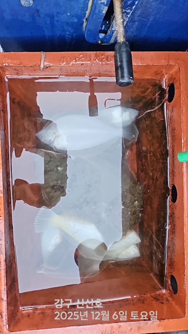 신신낚시 강구점 신신호_사진_20251206_5.jpg